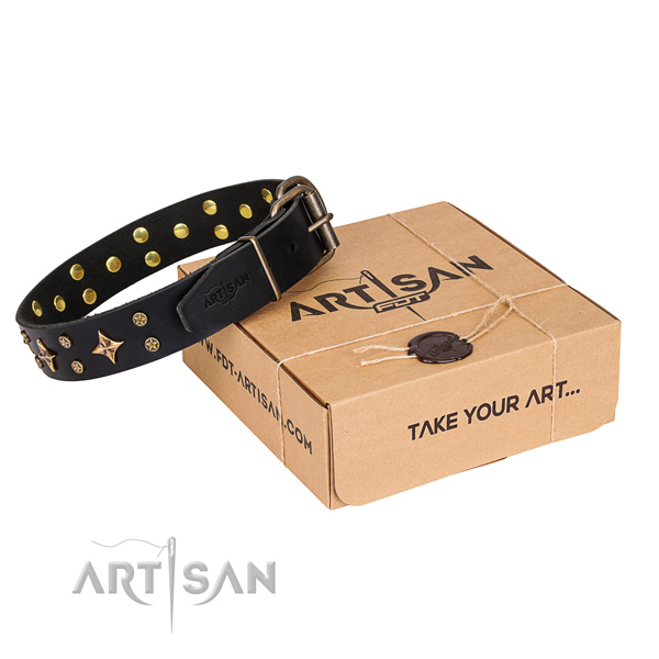 Studded full grain leather dog collar for daily walking