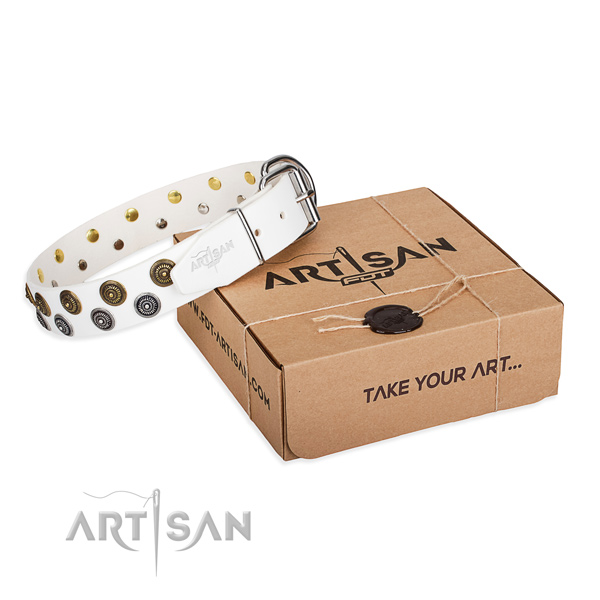 Studded full grain natural leather dog collar for handy use