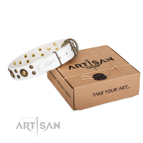 Full grain genuine leather dog collar with adornments for daily walking