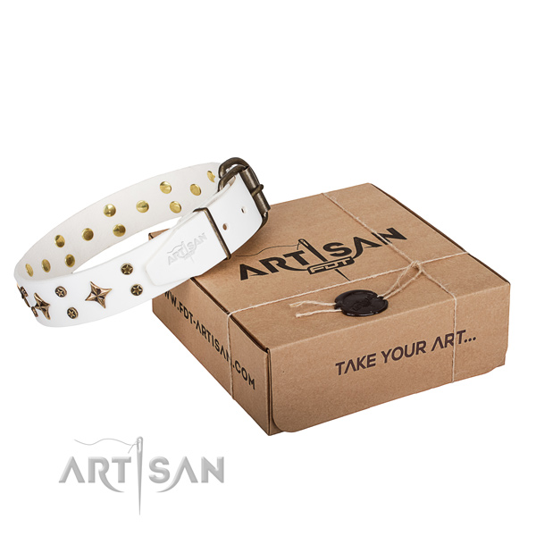 Studded genuine leather dog collar for comfy wearing