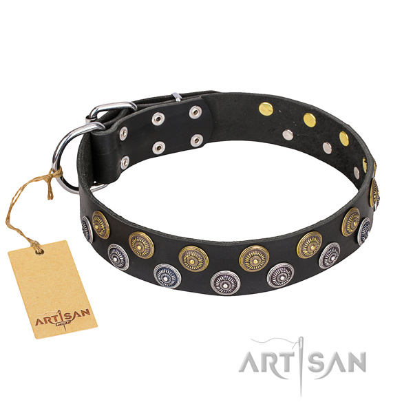 Incredible genuine leather dog collar for daily use