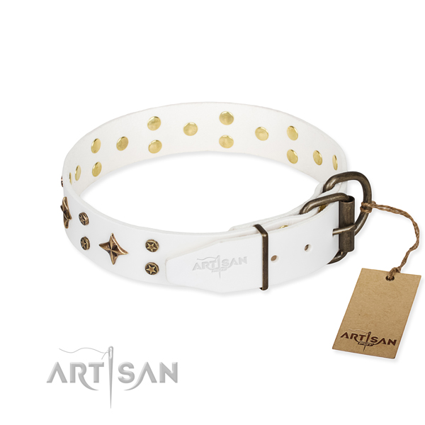 Stylish walking genuine leather collar with decorations for your pet