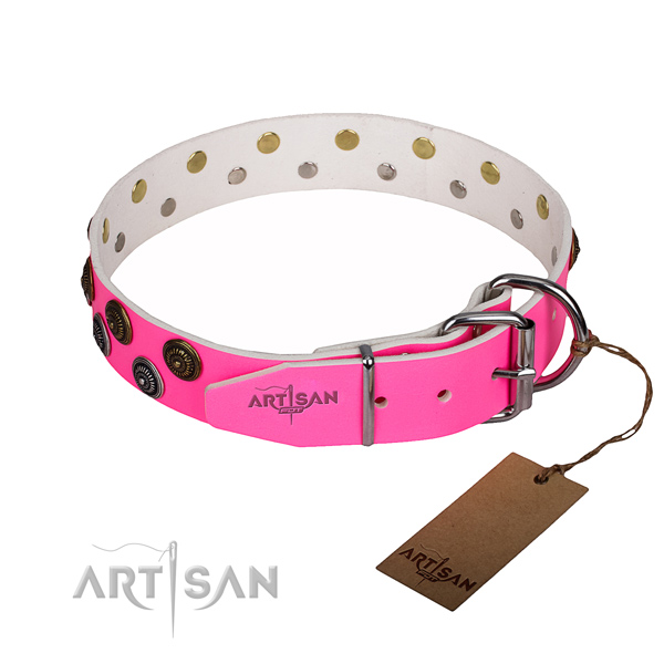 Daily walking full grain natural leather collar with adornments for your four-legged friend