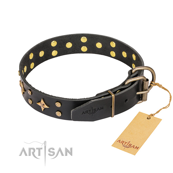 Incredible full grain genuine leather dog collar for everyday use