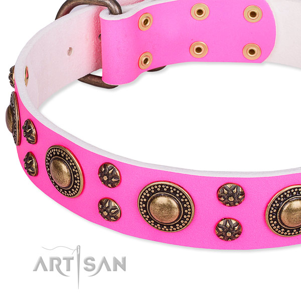Natural genuine leather dog collar with remarkable studs