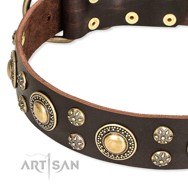 Leather dog collar with fashionable decorations