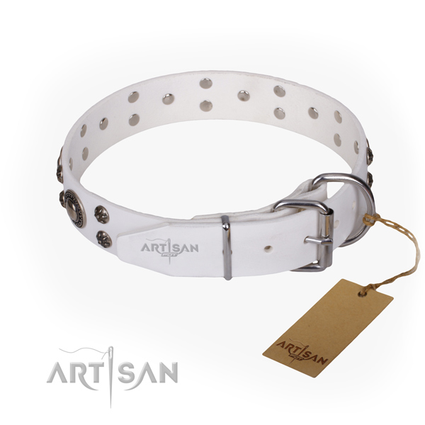 Stylish walking full grain natural leather collar with studs for your dog