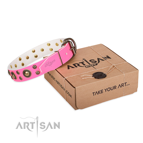 Leather dog collar with adornments for everyday use