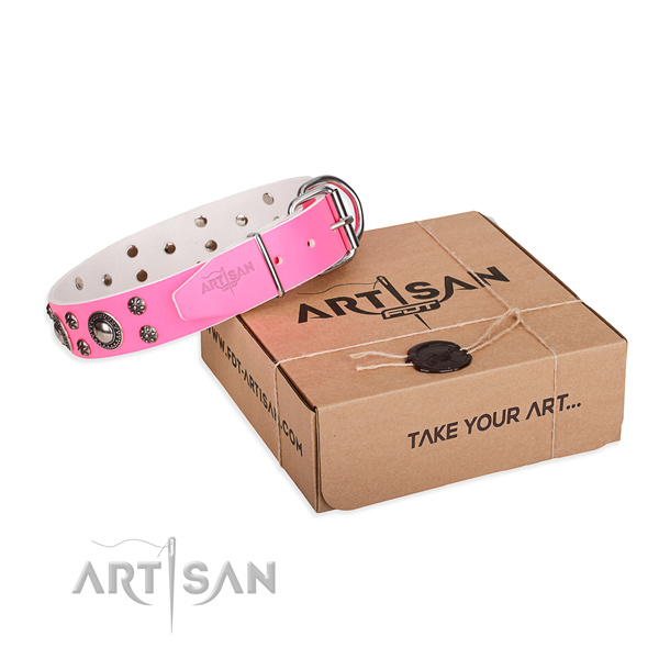 Fine quality full grain natural leather dog collar for daily use