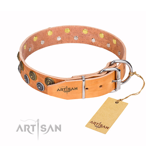 Daily walking full grain natural leather collar with adornments for your pet