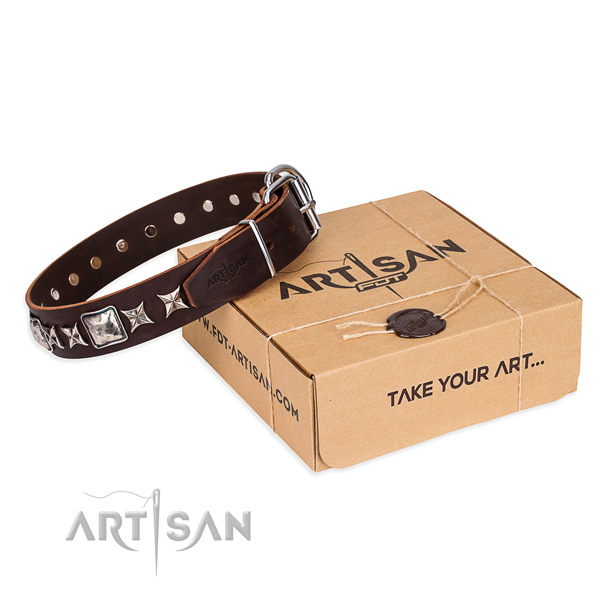 Adorned full grain leather dog collar for stylish walks
