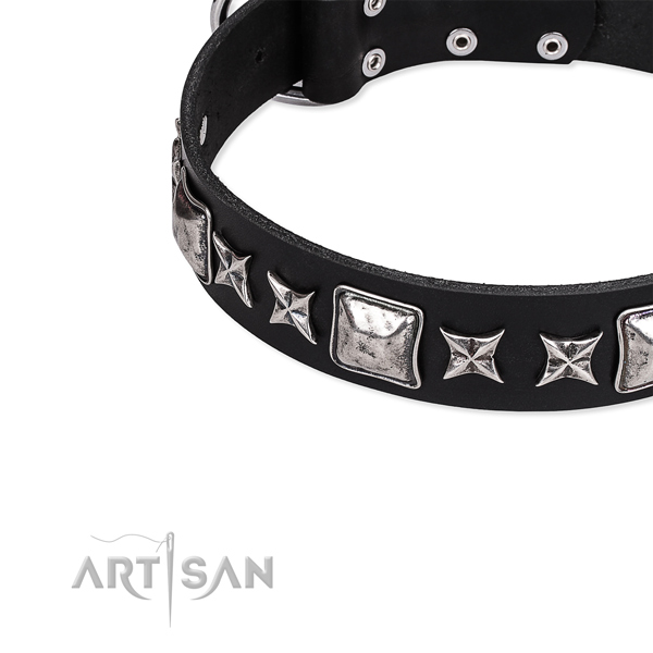 Full grain genuine leather dog collar with decorations for stylish walking