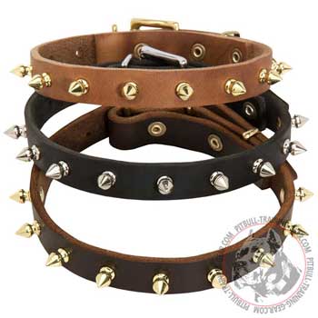 Designer walking leather dog collars for Pitbull