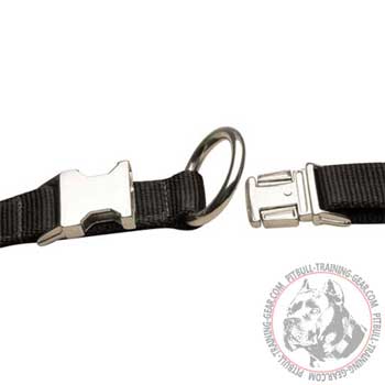 Nickel Plated Buckle on Nylon Pitbull Collar 