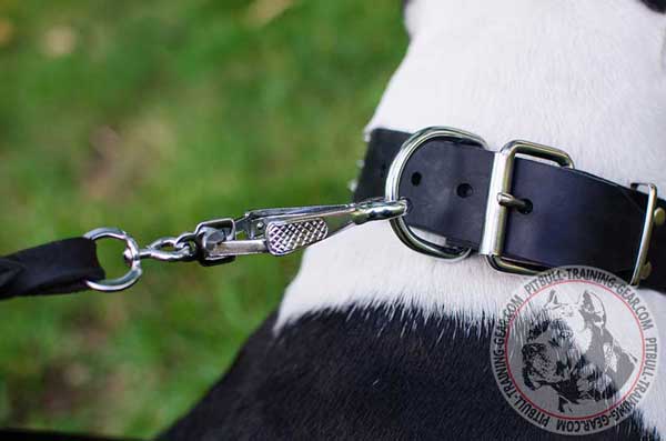 Durable D-Ring on Leather Dog Collar for Pitbull