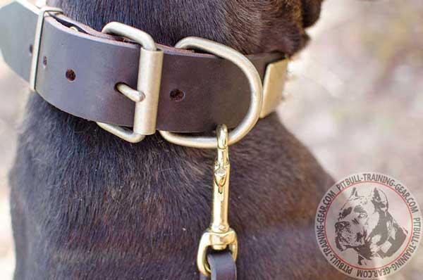 Durable D-Ring on Leather Dog Collar for Pitbull