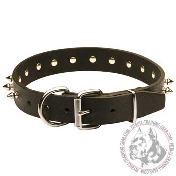 Strong Fittings on Adjustable Leather Dog Collar for Pit Bull for Easy Handling