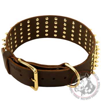 Reliable Fittings on Wide Walking Leather Pitbull Collar for Handling