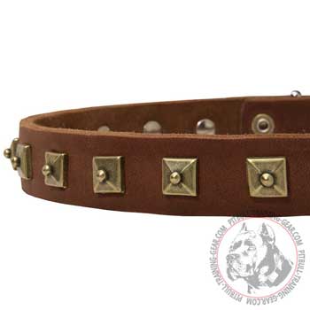 Antique Studs on Leather Pitbull Collar