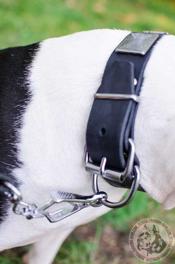 Reliable Hardware for Adjusting Plated Leather Dog Collar