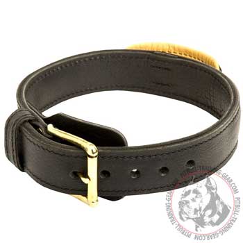 Leather collar for Pitbull training hand crafted