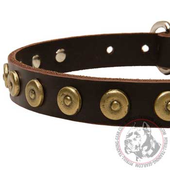leather Pitbull collar with circles