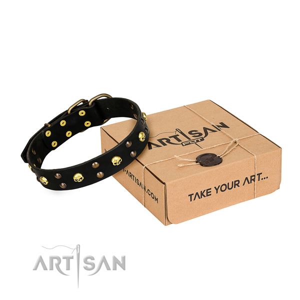 Durable leather dog collar with corrosion-resistant fittings