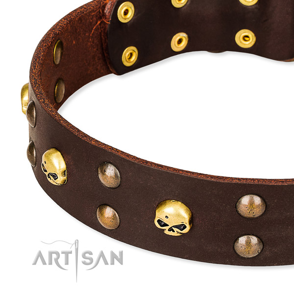 Fancy leather dog collar for stylish walks