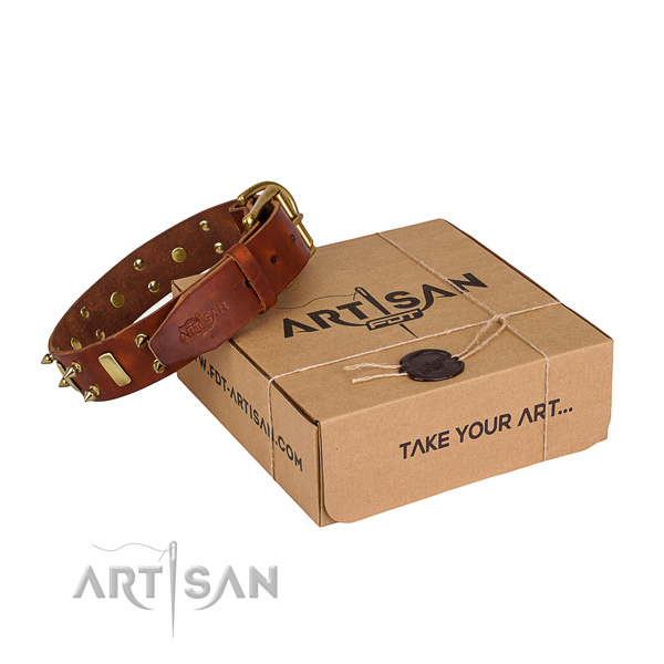 Casual leather dog collar with astonishing embellishments