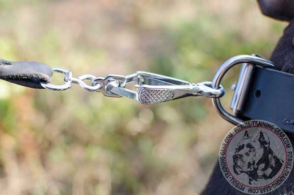 Heavy-Duty Nickel Plated D-Ring for Leash Attachment Strong Nickel Plated D-Ring for Quick Leash Attachment