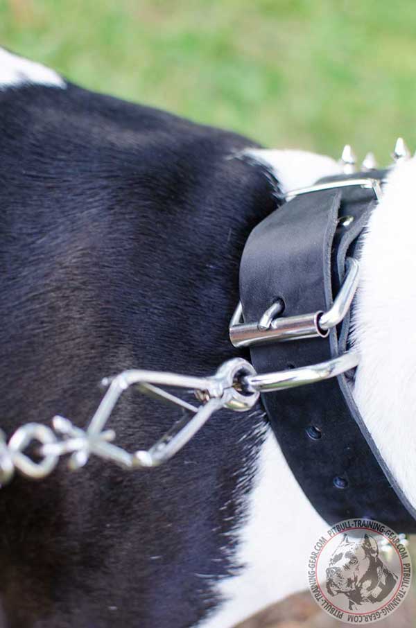 Nickel Plated Hardware for Leash Attachment and Easy Collar Adjustment