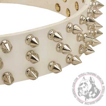 Rust Proof Nickel-Plated Spikes on White Leather Dog Collar