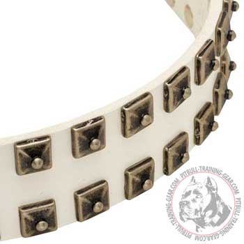Nickel Studs on Wide Leather Pit Bull Collar for Walking White