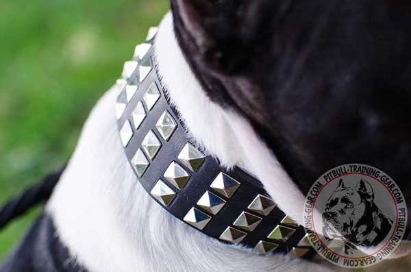 Nickel Decorations on Leather Dog Collar for Pitbull Breed