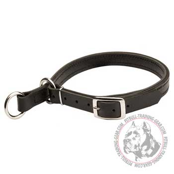 Adjustable Leather Dog Choke Collar for Pit Bull with Buckle