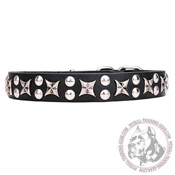 Dog Collar for Pit Bulls, amazing look