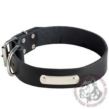 Leather Adjustable Collar for Pit Bull with Name Tag