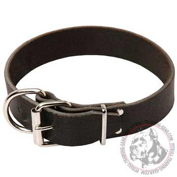 Leather Pit Bull Collar with Buckle Simple Style