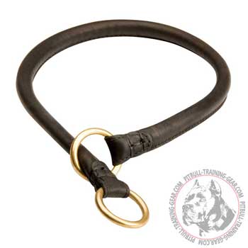 Obedience Training Leather Dog Choke Collar for Pit Bull