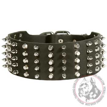 Adjustable Designer Leather Pit Bull Collar with Nickel Spikes and Pyramids 