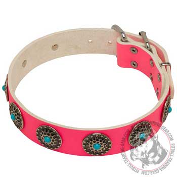 Walking Fashionable Leather Dog Collar for Pit Bull