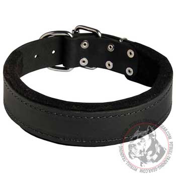 Handmade Felt Padded Leather Dog Collar for Pit Bull Training