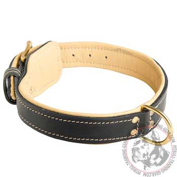 Leather Training Pit Bull Collar Soft Padded with D-ring