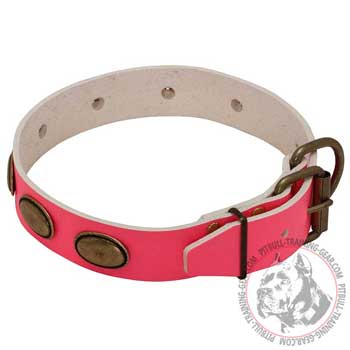 Pink Leather Pit Bull Collar with Brass Fittings Riveted for Durability