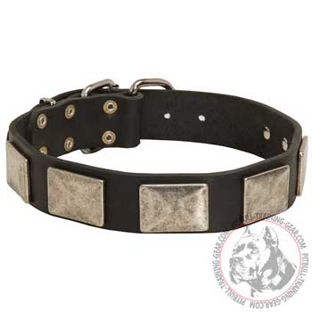 Perfectly Adjustable Plated Leather Dog Collar for Pit Bull