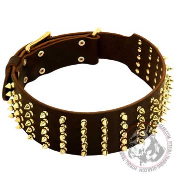 Adjustable Leather Pit Bull Collar for Walking with Rust-Proof Spikes