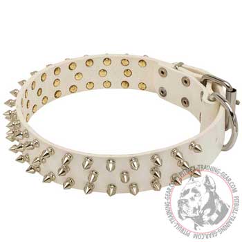 White Leather Pit Bull Collar with Beautiful Blunted Nickel-Plated Spikes