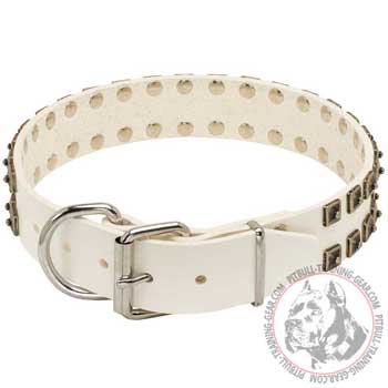 White Leather Pit Bull Collar for Walking