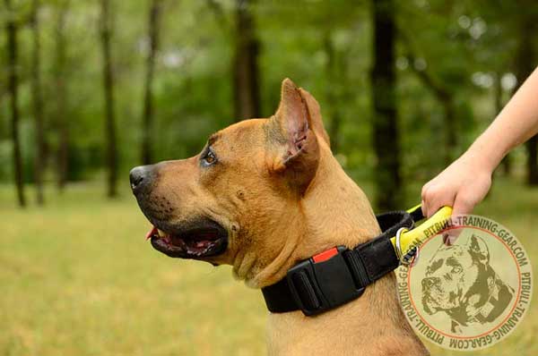 Nylon Easy Adjustable Training Pit Bull Collar with Handle