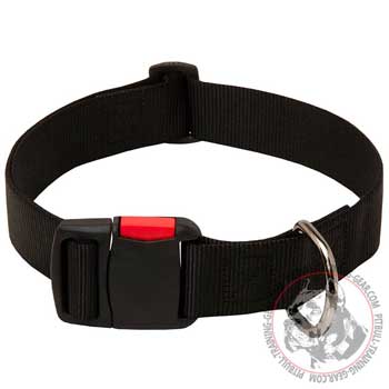 Training Nylon Pit Bull Collar is Easy to Use